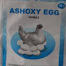 ASHOXY EGG 100GR