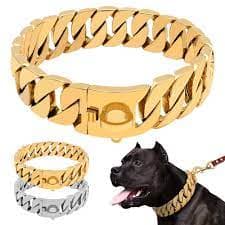 Dog Chain Complete