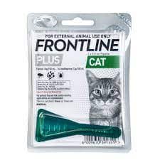 Frontline Cat