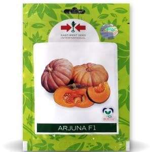 KAYLA PUMPKIN 25G