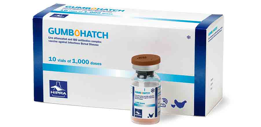 IBD 1000 Doses Vaccine