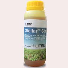 Stellar Star ltr