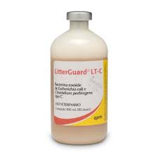 LitterGuard 1 Dose