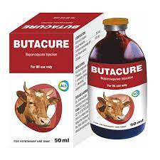 Butacure 50mls
