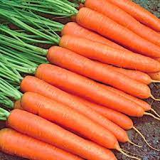 EW Carrot Nantes/Kuroda  25g