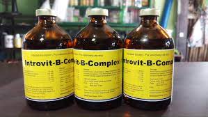 Introvit Complex B