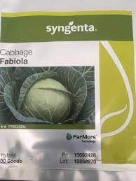 Cabbage Fabiola 2500 Seeds