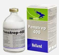 Penstrep SA 100mls