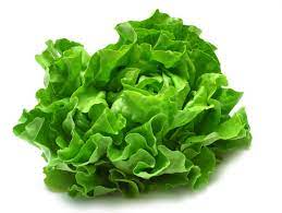 Lettuce 20g