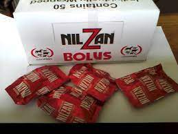 Nilzan Bolus