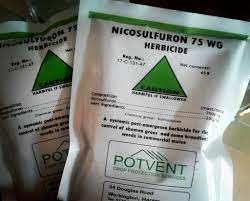 Nicosulfuron 75WG-45g